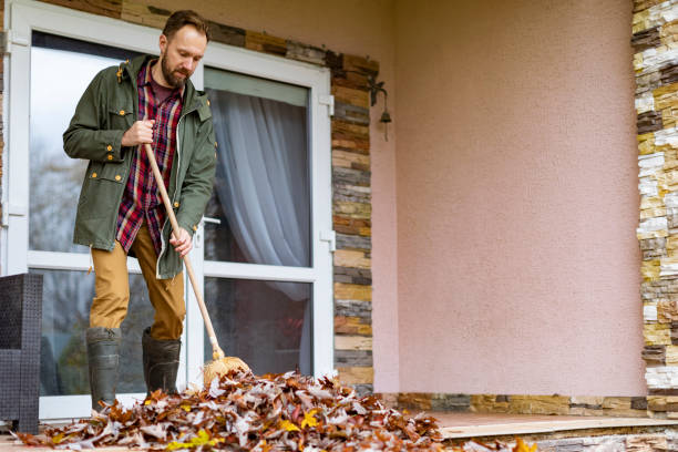 Debris Removal in Crete, IL